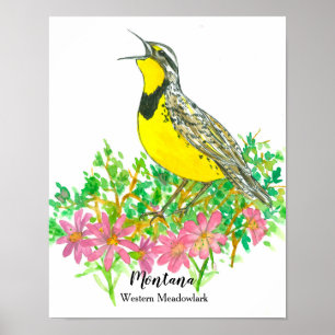 State Bird of Montana Meadowlark Bitterroot Flower Poster