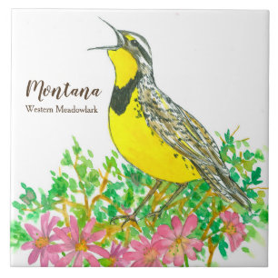 State Bird of Montana Meadowlark Songbird Ceramic Tile