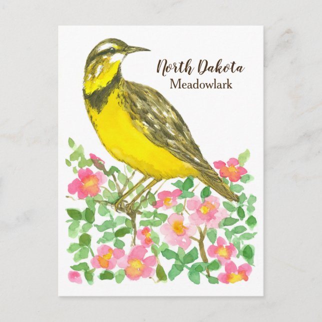 State Bird of North Dakota Meadowlark Roses Postcard (Front)