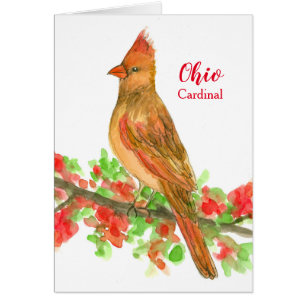 State Bird of Ohio Cardinal Blank