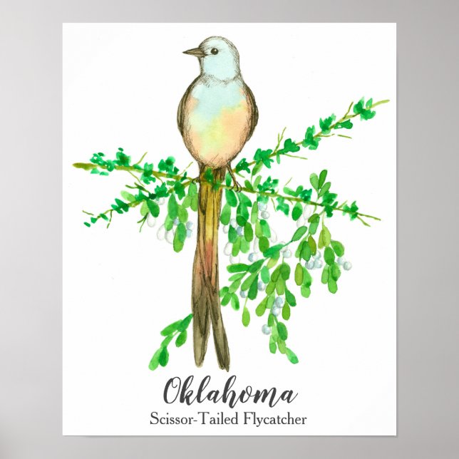 State Bird of Oklahoma Scissor Tailed Flycatcher Poster (Front)