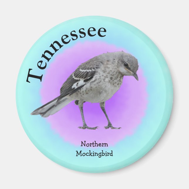 State Bird of Tennessee Magnet (Front)