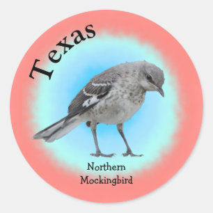 State Bird of Texas Classic Round Sticker