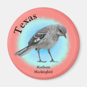 State Bird of Texas Magnet