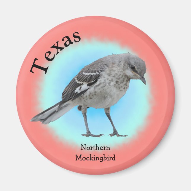 State Bird of Texas Magnet (Front)