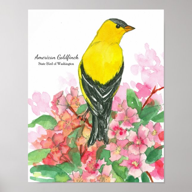 State Bird of Washington American Goldfinch Yellow Poster (Front)