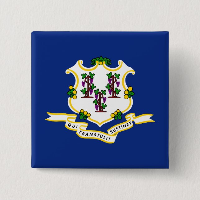State Flag of Connecticut 15 Cm Square Badge (Front)