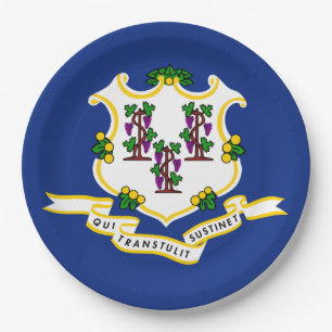 State Flag of Connecticut Paper Plate