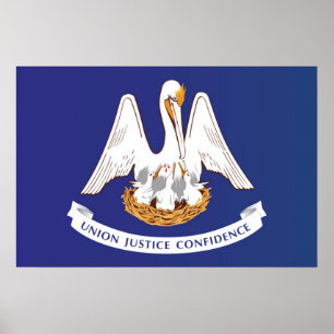 State Flag of Louisiana, USA Poster