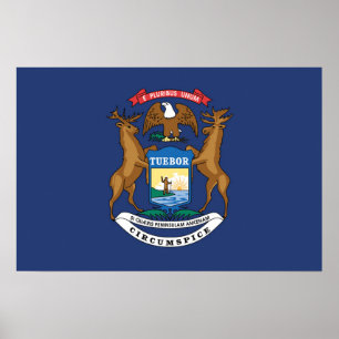 State Flag of Michigan, USA Poster