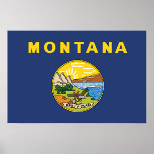 State Flag of Montana, USA Poster