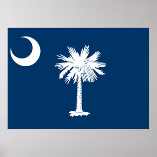 State Flag of South Carolina Poster
