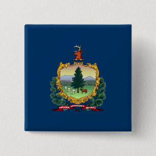 State Flag of Vermont 15 Cm Square Badge