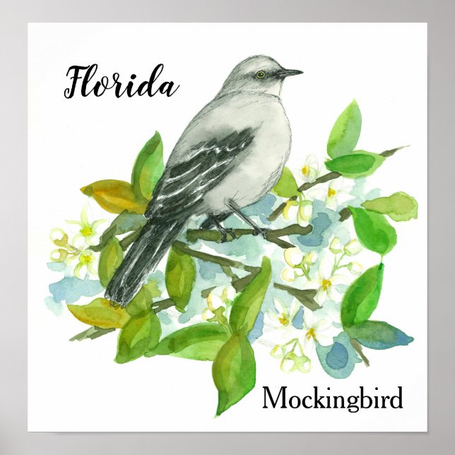 State Flower of Florida Orange Blossom Mockingbird Poster (Front)