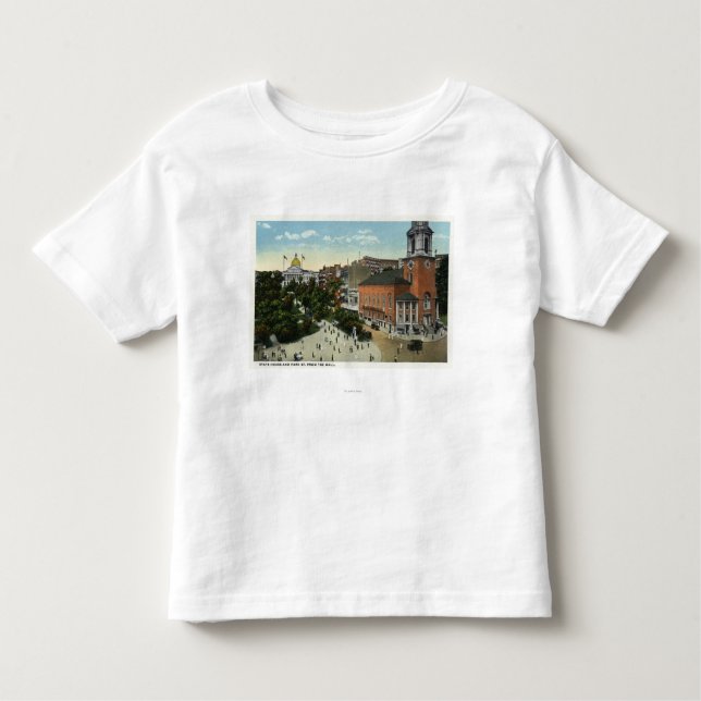State House and Park Street View from the Mall Toddler T-Shirt (Front)