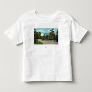 State Hwy View of the Approach towards Mount Toddler T-Shirt
