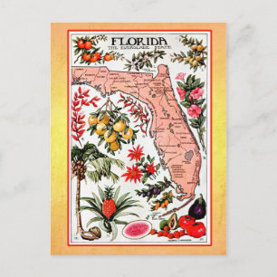 State Map of Florida (vintage reprint) Postcard