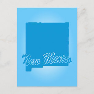 State New Mexico Postcard