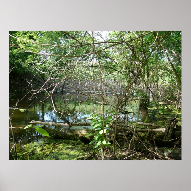 State of Confusion Poster (Front)