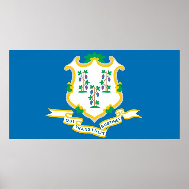 State of Connecticut flag Poster (Front)