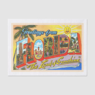 State of Florida FL Vintage Large Letter Postcard Tissue Paper
