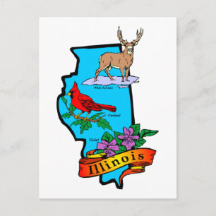 State of Illinios Gifts and Tees Postcard