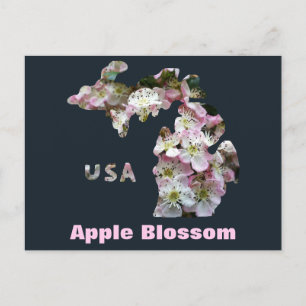 State of Michigan and Apple Blossoms Postcard