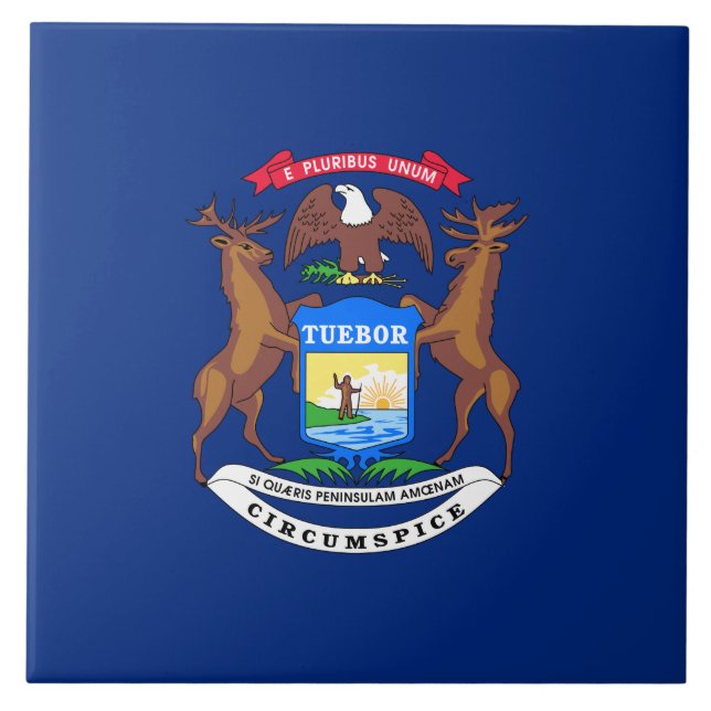 State of Michigan Flag Ceramic Tile (Front)