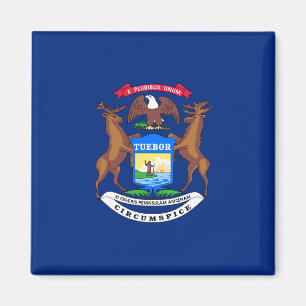 State of Michigan Flag Magnet
