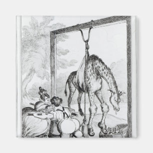 State of the Giraffe, 1829 Magnet