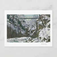 State Park Gorge Suspension Bridge View in