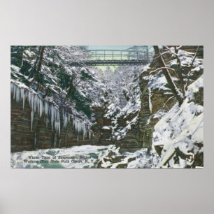 State Park Gorge Suspension Bridge View in Poster