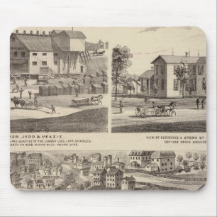 State Prison of Minnesota Mouse Pad