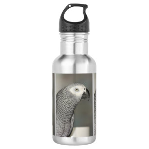 Stately African Grey Parrot 532 Ml Water Bottle