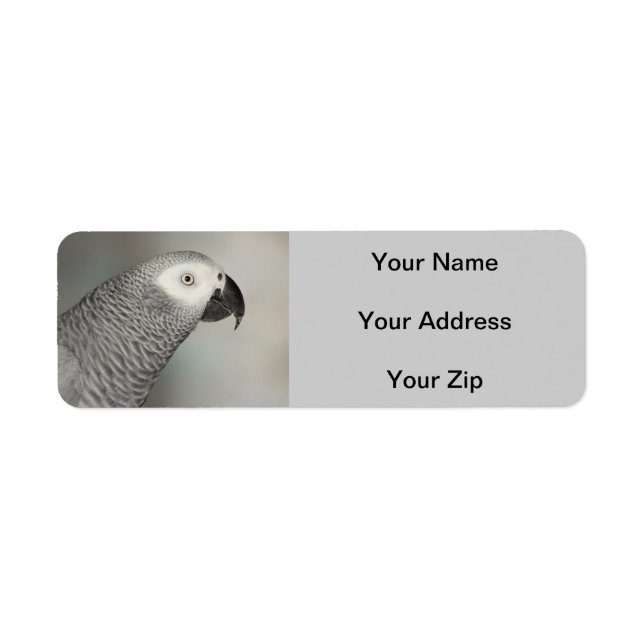 Stately African Grey Parrot Return Address Label (Front)
