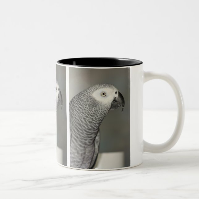 Stately African Grey Parrot Two-Tone Coffee Mug (Right)
