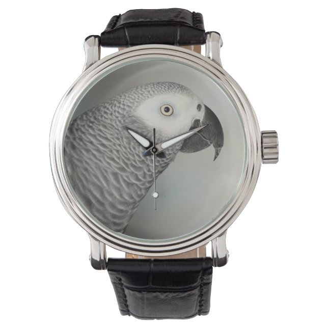 Stately African Grey Parrot Watch (Front)