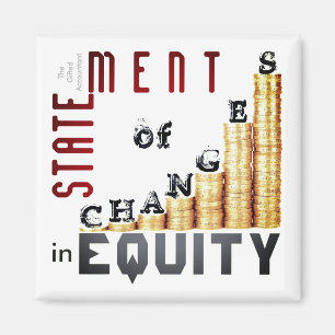 "Statement Of Changes In Equity" Magnet