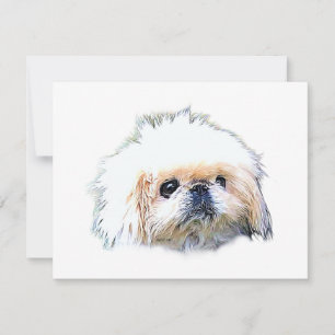 Stationary-blank note cards featuring Marcus