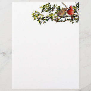 Stationary Cardinals Custom Letterhead