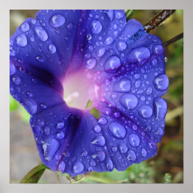 Stationery and Art Poster (Front)