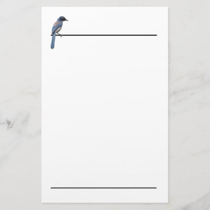 Stationery - Blue Jay