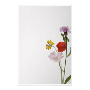 Stationery colorful flowers