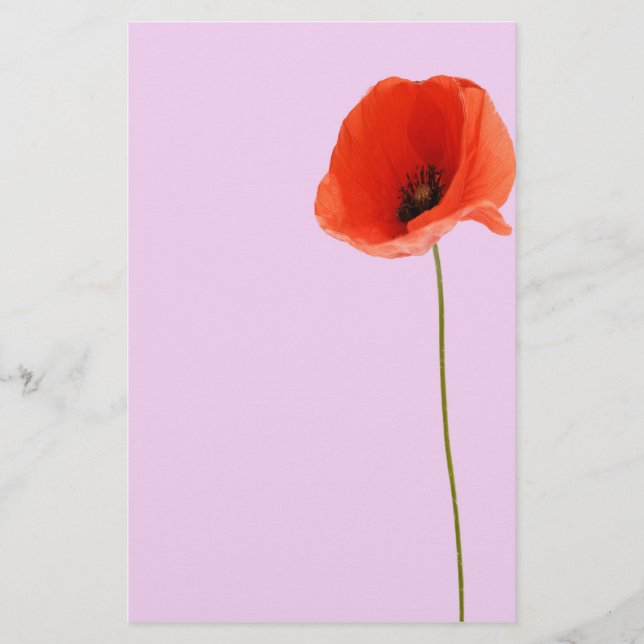 Stationery poppy (Front)