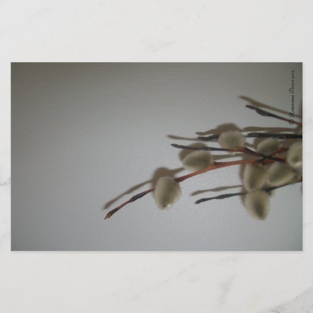 Stationery Sheets (PussyWillows) RFPMDesigns©️2012 (Front)