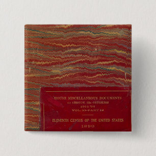Statistical atlas United States 15 Cm Square Badge