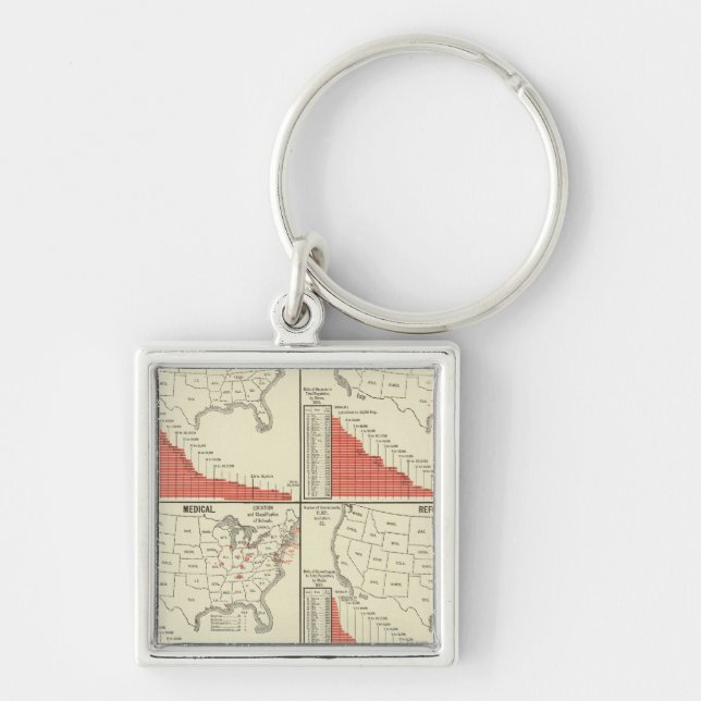 Statistics for special schools key ring (Front)