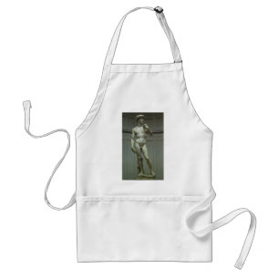 Statue of David by Michelangelo Standard Apron