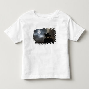 Statue of King Kralja Tomislava silhouetted Toddler T-Shirt