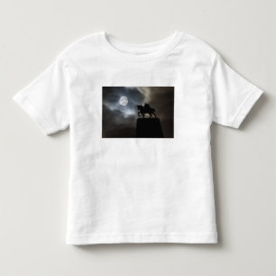 Statue of King Kralja Tomislava silhouetted Toddler T-Shirt
